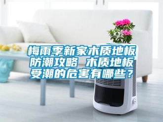 常見問題梅雨季新家木質地板防潮攻略 木質地板受潮的危害有哪些？