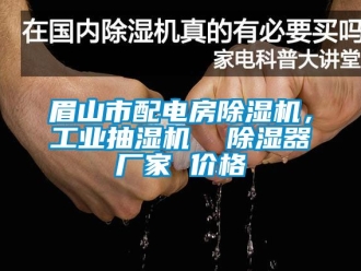 企業新聞眉山市配電房除濕機，工業抽濕機  除濕器廠家 價格