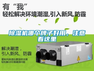 行業新聞除濕機哪個牌子好用，注意看這里