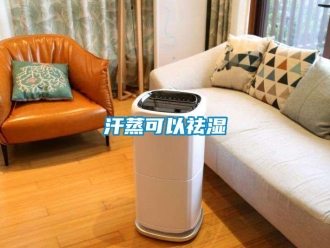 行業新聞汗蒸可以祛濕