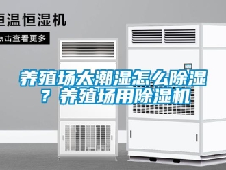 常見問題養殖場太潮濕怎么除濕？養殖場用除濕機