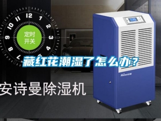 企業新聞藏紅花潮濕了怎么辦？