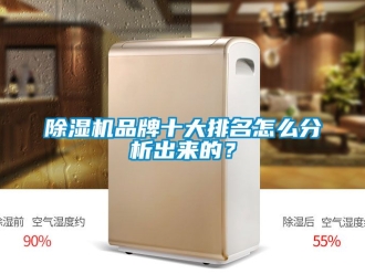 企業新聞除濕機品牌十大排名怎么分析出來的？
