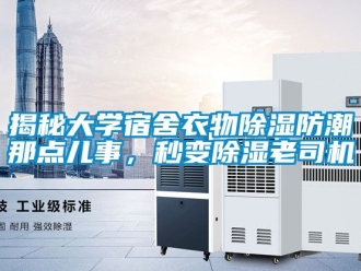 常見問題揭秘大學宿舍衣物除濕防潮那點兒事，秒變除濕老司機