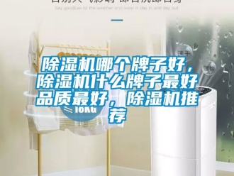 行業新聞除濕機哪個牌子好，除濕機什么牌子最好品質最好，除濕機推薦