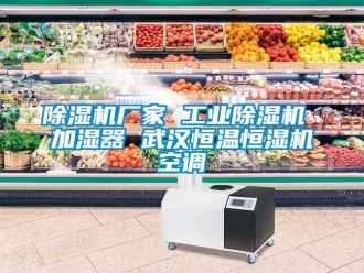 企業(yè)新聞除濕機廠家 工業(yè)除濕機 加濕器 武漢恒溫恒濕機空調(diào)