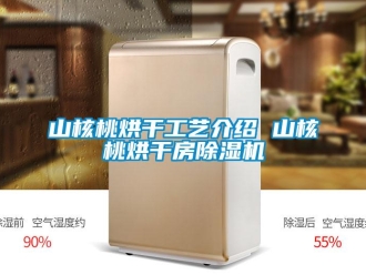 知識百科山核桃烘干工藝介紹 山核桃烘干房除濕機