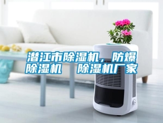 企業(yè)新聞潛江市除濕機(jī)，防爆除濕機(jī)  除濕機(jī)廠家