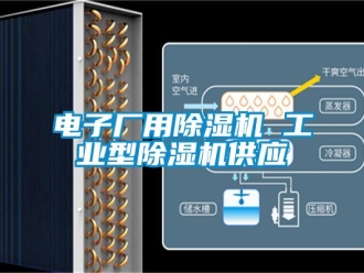 常見問題電子廠用除濕機 工業(yè)型除濕機供應