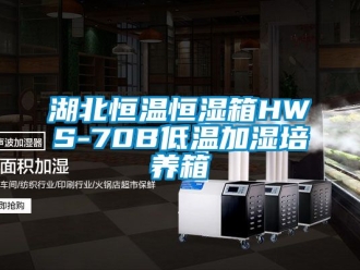 知識百科湖北恒溫恒濕箱HWS-70B低溫加濕培養(yǎng)箱