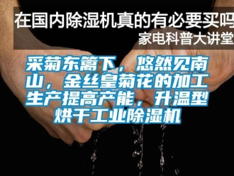 企業(yè)新聞采菊東籬下，悠然見南山，金絲皇菊花的加工生產(chǎn)提高產(chǎn)能，升溫型烘干工業(yè)除濕機