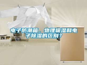 常見問題電子防潮箱，物理吸濕和電子除濕的區別？