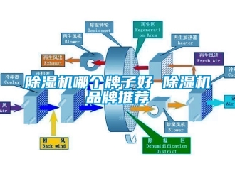 企業新聞除濕機哪個牌子好 除濕機品牌推薦