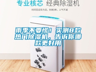 行業新聞雨季不要慌！實測8款熱門除濕機，告訴你哪款更好用