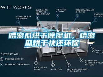 行業新聞哈密瓜烘干除濕機，哈密瓜烘干快還環保