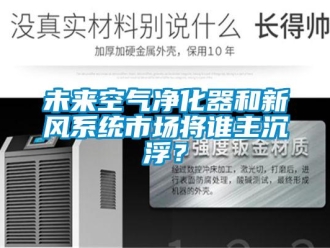 知識百科未來空氣凈化器和新風系統市場將誰主沉浮？