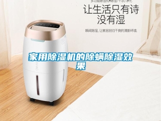 行業(yè)新聞家用除濕機的除螨除濕效果
