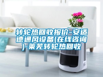 常見問題轉輪熱回收報價-安適德通風設備(在線咨詢)-萊蕪轉輪熱回收