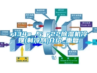 企業(yè)新聞r134a 與 r22除濕機冷媒(制冷劑)介紹_重復(fù)