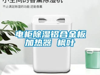 行業新聞電柜除濕鋁合金板加熱器 楓葉