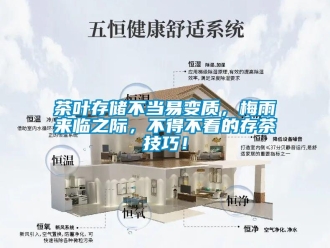 企業(yè)新聞茶葉存儲(chǔ)不當(dāng)易變質(zhì)，梅雨來(lái)臨之際，不得不看的存茶技巧！