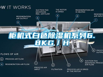 行業新聞柜機式白色除濕機系列6.8KG／H