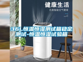 常見問題36L恒溫恒濕測試箱穩定測試-恒溫恒濕試驗箱