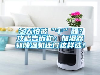 企業新聞冬天怕被“干”醒？攻略告訴你：加濕器和除濕機還得這樣選！
