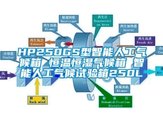 常見問題HP250GS型智能人工氣候箱 恒溫恒濕氣候箱 智能人工氣候試驗(yàn)箱250L
