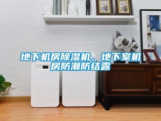 企業新聞地下機房除濕機，地下室機房防潮防結露