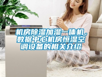 知識百科機房除濕加濕一體機，數(shù)據(jù)中心機房恒濕空調設備的相關介紹