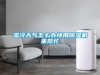 常見(jiàn)問(wèn)題濕冷天氣怎么辦快用除濕機(jī)來(lái)幫忙