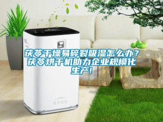 常見問題茯苓干燥易碎裂吸濕怎么辦？茯苓烘干機助力企業規模化生產!