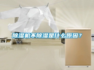 企業新聞除濕機不除濕是什么原因？
