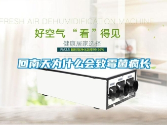行業新聞回南天為什么會致霉菌瘋長