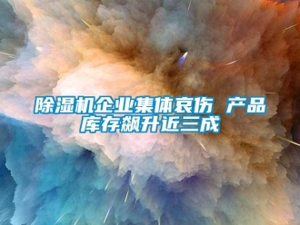 常見問題除濕機(jī)企業(yè)集體哀傷 產(chǎn)品庫存飆升近三成
