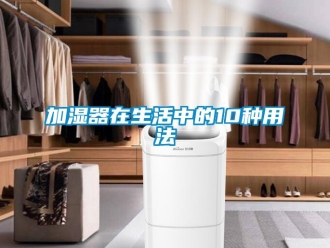 行業(yè)新聞加濕器在生活中的10種用法