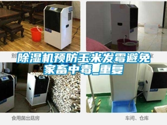 行業新聞除濕機預防玉米發霉避免家畜中毒_重復