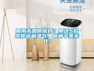 常見問題回南天如何應(yīng)對？用這5招幫你遠(yuǎn)離濕氣，瞬間干爽無比！