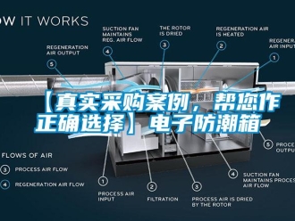 企業新聞【真實采購案例，幫您作正確選擇】電子防潮箱