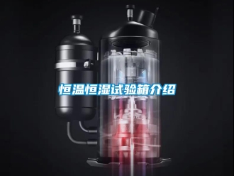 知識百科恒溫恒濕試驗(yàn)箱介紹