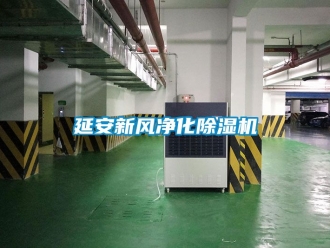 常見問題延安新風凈化除濕機