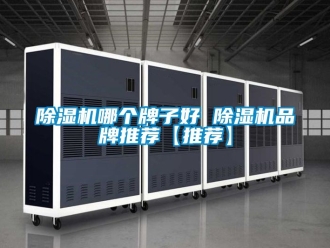 企業新聞除濕機哪個牌子好 除濕機品牌推薦【推薦】