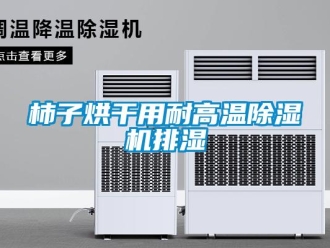 知識(shí)百科柿子烘干用耐高溫除濕機(jī)排濕