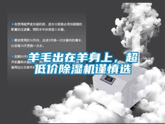 知識百科羊毛出在羊身上，超低價除濕機謹慎選