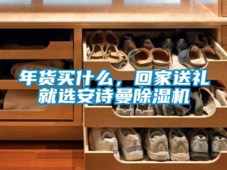 企業新聞年貨買什么，回家送禮就選安詩曼除濕機