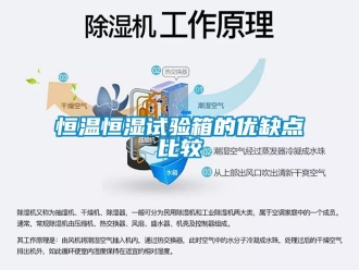 知識百科恒溫恒濕試驗箱的優缺點比較