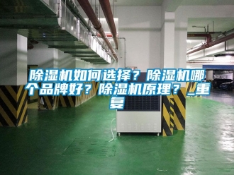 企業新聞除濕機如何選擇？除濕機哪個品牌好？除濕機原理？_重復