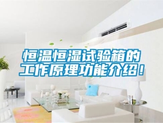 知識百科恒溫恒濕試驗(yàn)箱的工作原理功能介紹！