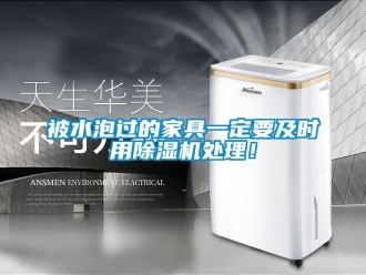 企業新聞被水泡過的家具一定要及時用除濕機處理！